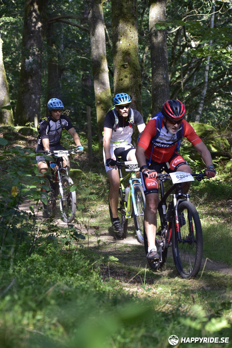 Bild från Bockstensturen 2019